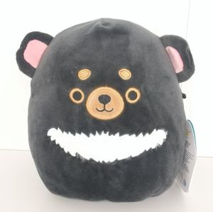 Squishmallow Tajo the Tasmanian Devil